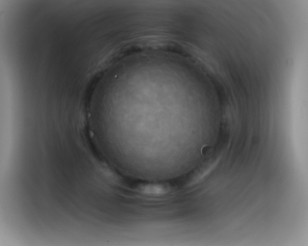 X0000114620751200910201132