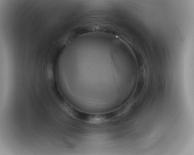 X0000114620754200910201132