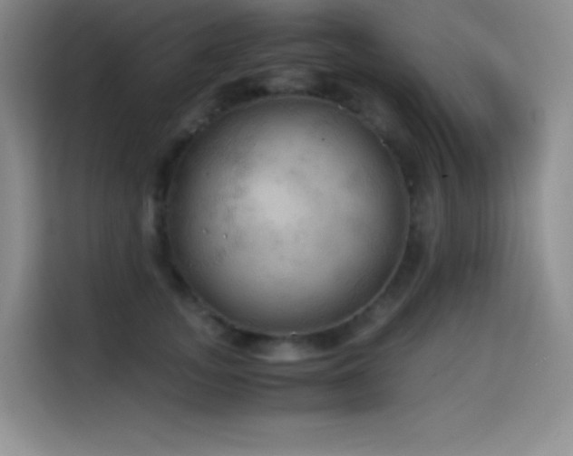 X0000114620755200910201132