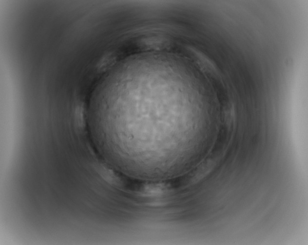 X0000114620757200910201132