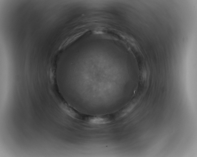 X0000114620759200910201132