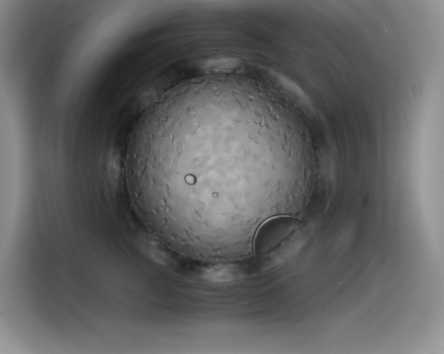 X0000114620761200910201132