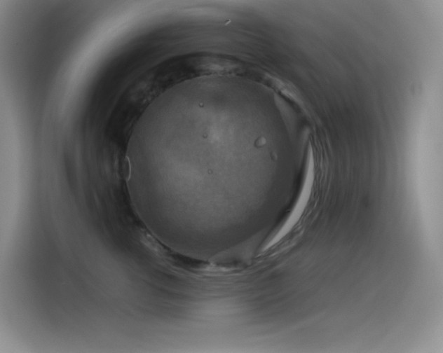 X0000114620762200910201132