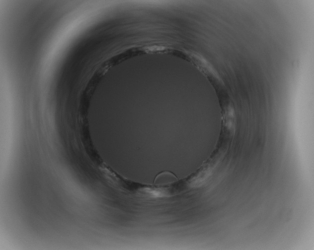 X0000114620763200910201132
