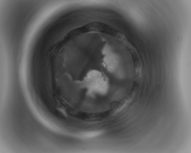 X0000114620765200910201132