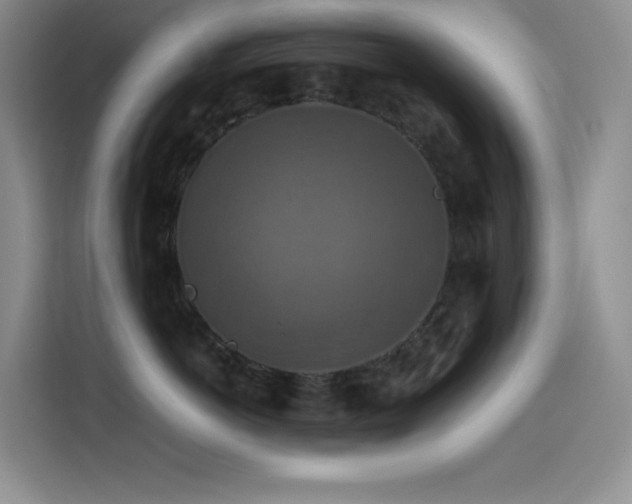 X0000114620766200910201132