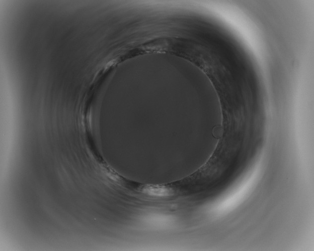 X0000114620767200910201132