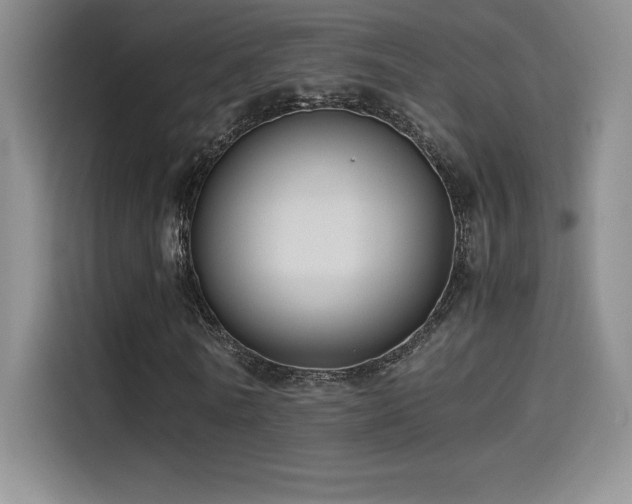 X0000114620770200910201132