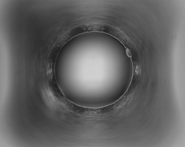 X0000114620771200910201132