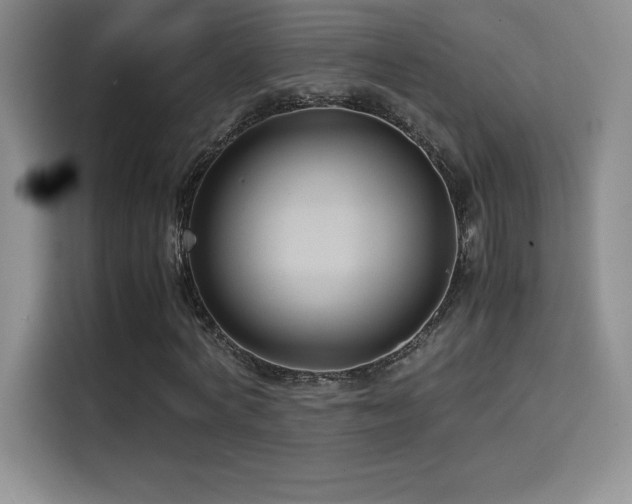 X0000114620772200910201132