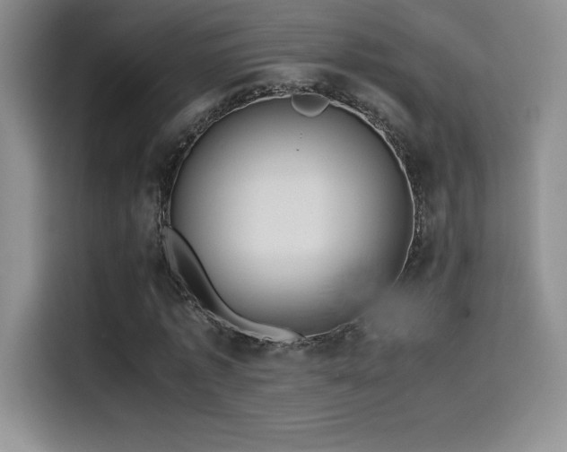 X0000114620773200910201132