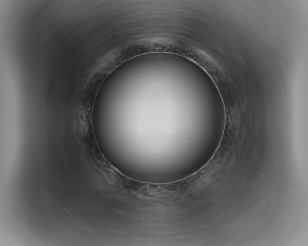 X0000114620774200910201132