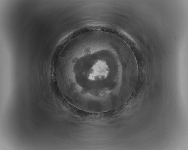 X0000114620775200910201132