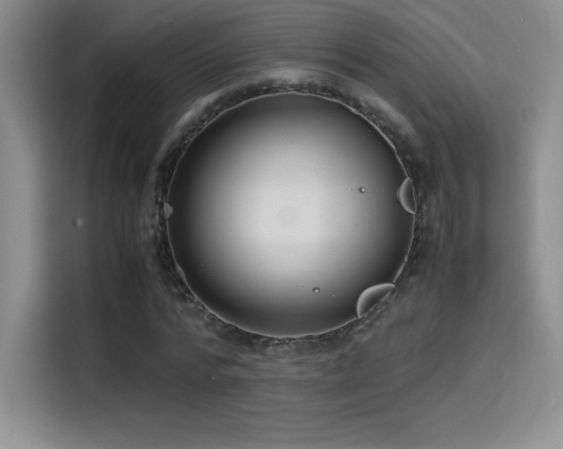 X0000114620776200910201132