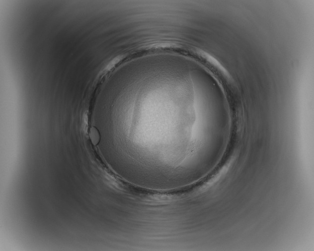 X0000114620777200910201132