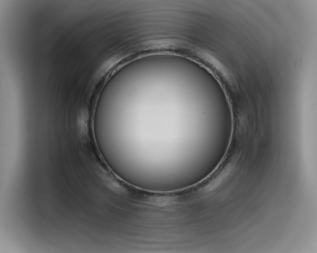 X0000114620778200910201132