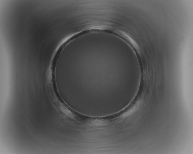 X0000114620779200910201132