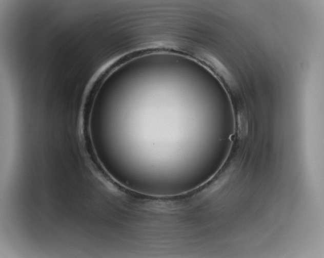 X0000114620780200910201132