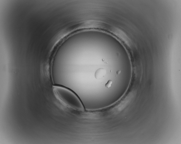 X0000114620781200910201132