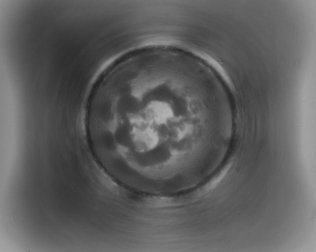 X0000114620783200910201132