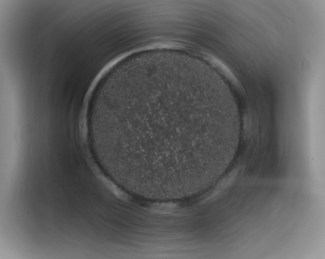 X0000114620784200910201132