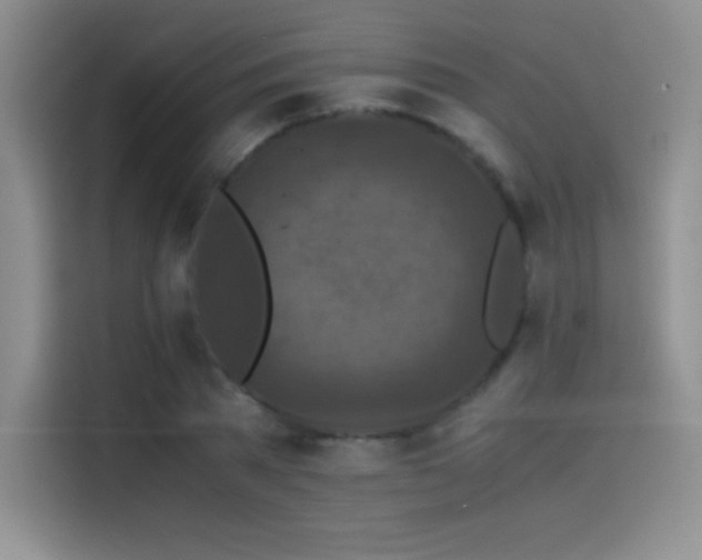 X0000114620785200910201131