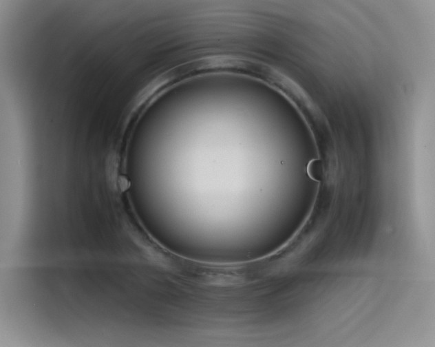 X0000114620786200910201131