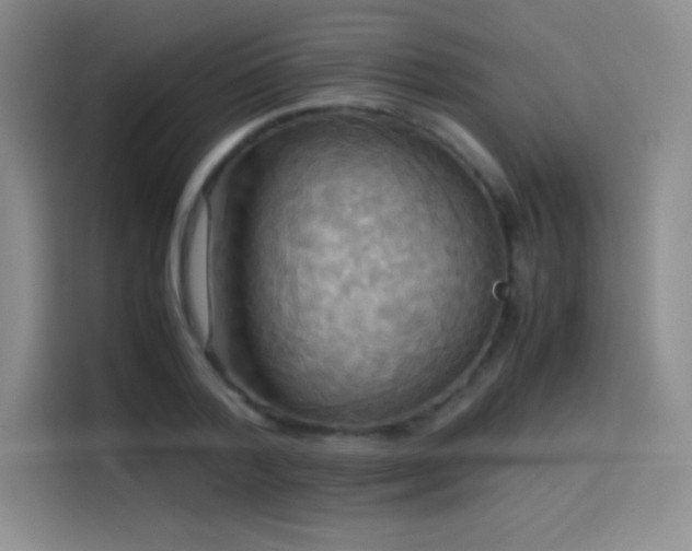 X0000114620788200910201131