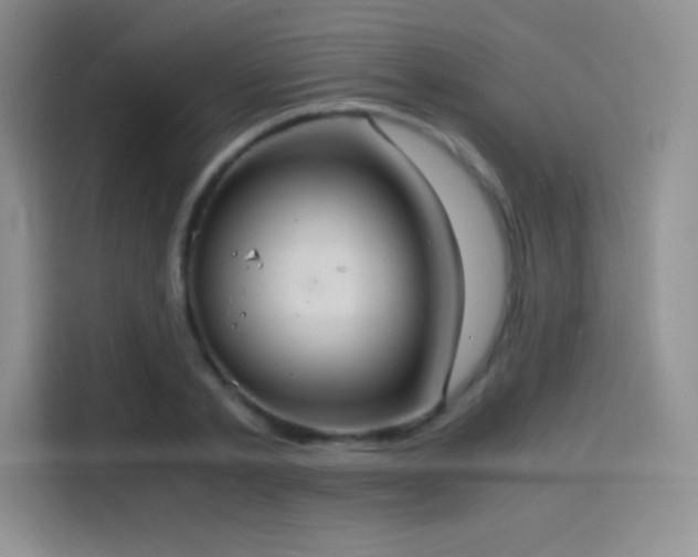 X0000114620789200910201131