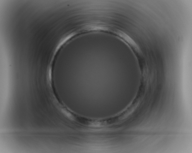 X0000114620790200910201131