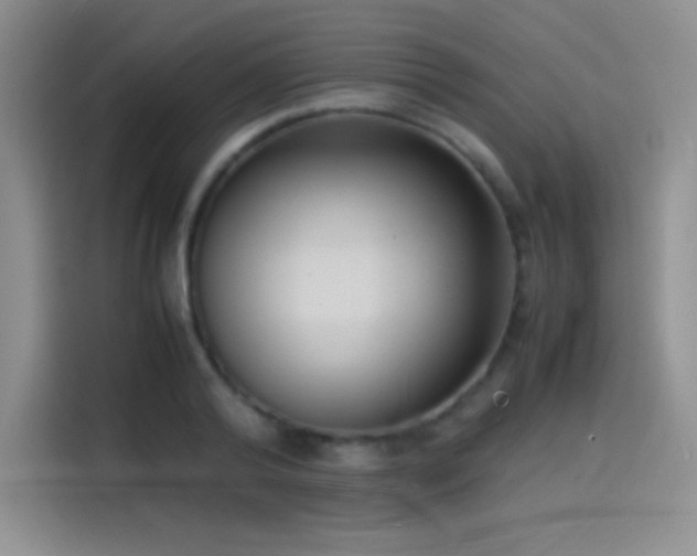 X0000114620792200910201131