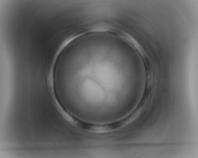 X0000114620795200910201131