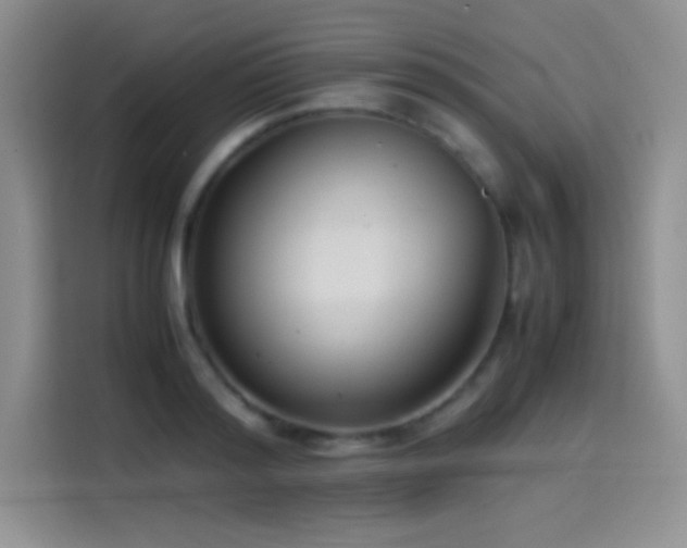 X0000114620796200910201131