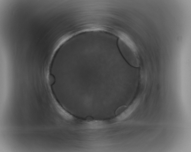 X0000114620797200910201131