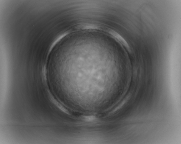 X0000114620798200910201131