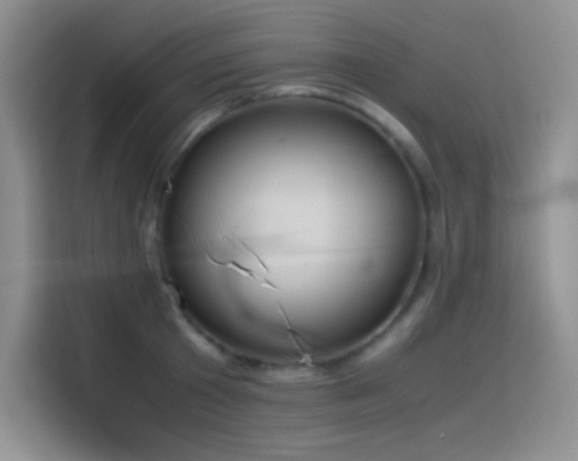 X0000114620801200910201131