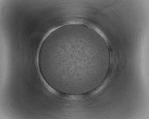 X0000114620803200910201131