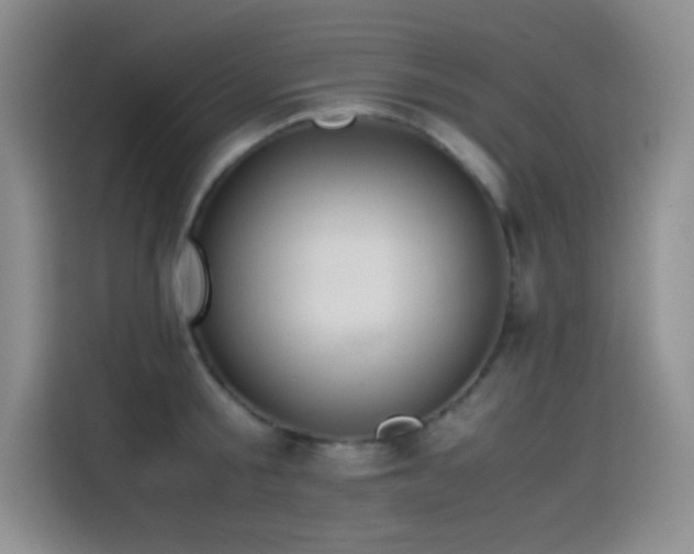 X0000114620805200910201131