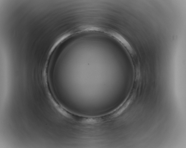 X0000114620806200910201131