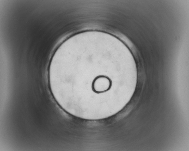 X0000114620807200910201131