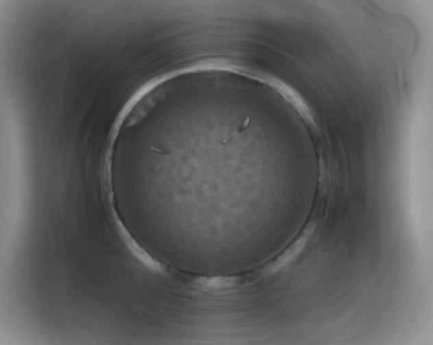 X0000114620808200910201131