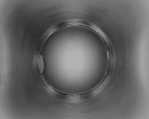 X0000114620809200910201131