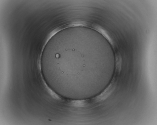 X0000114620810200910201131