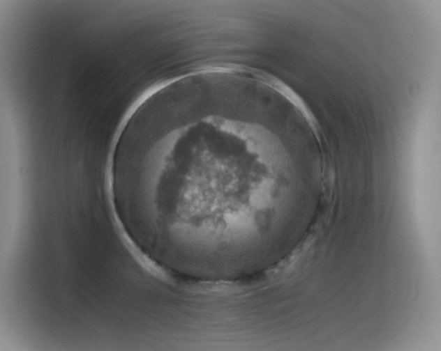 X0000114620811200910201131