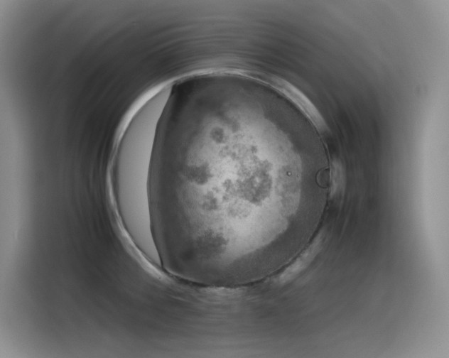 X0000114620812200910201131