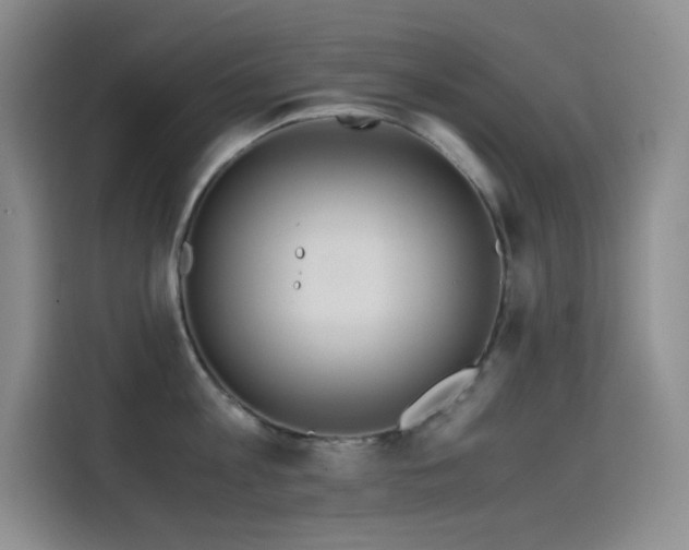 X0000114620813200910201131