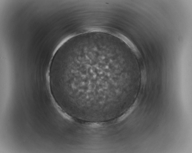 X0000114620814200910201131