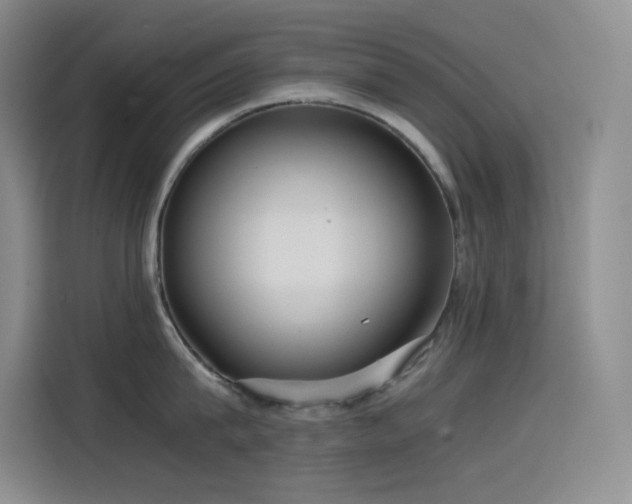 X0000114620815200910201131