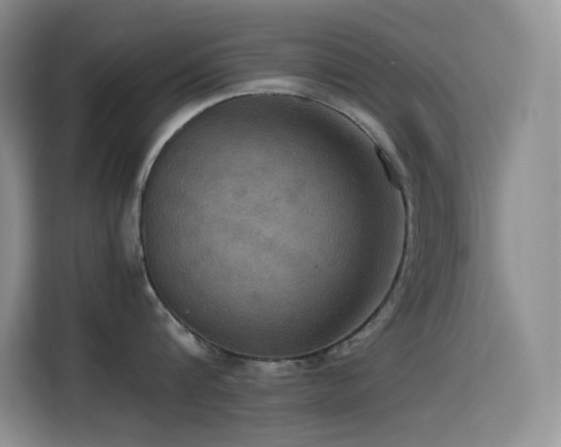 X0000114620816200910201131