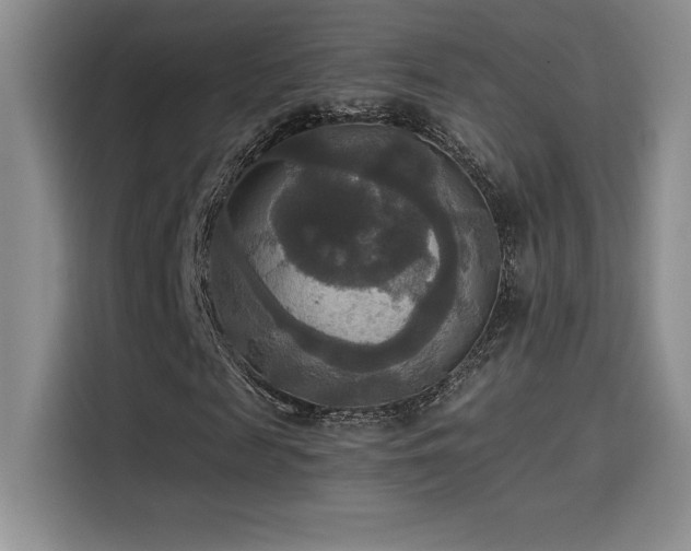 X0000114620817200910201130